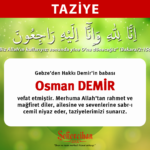 Taziye Osman Demir